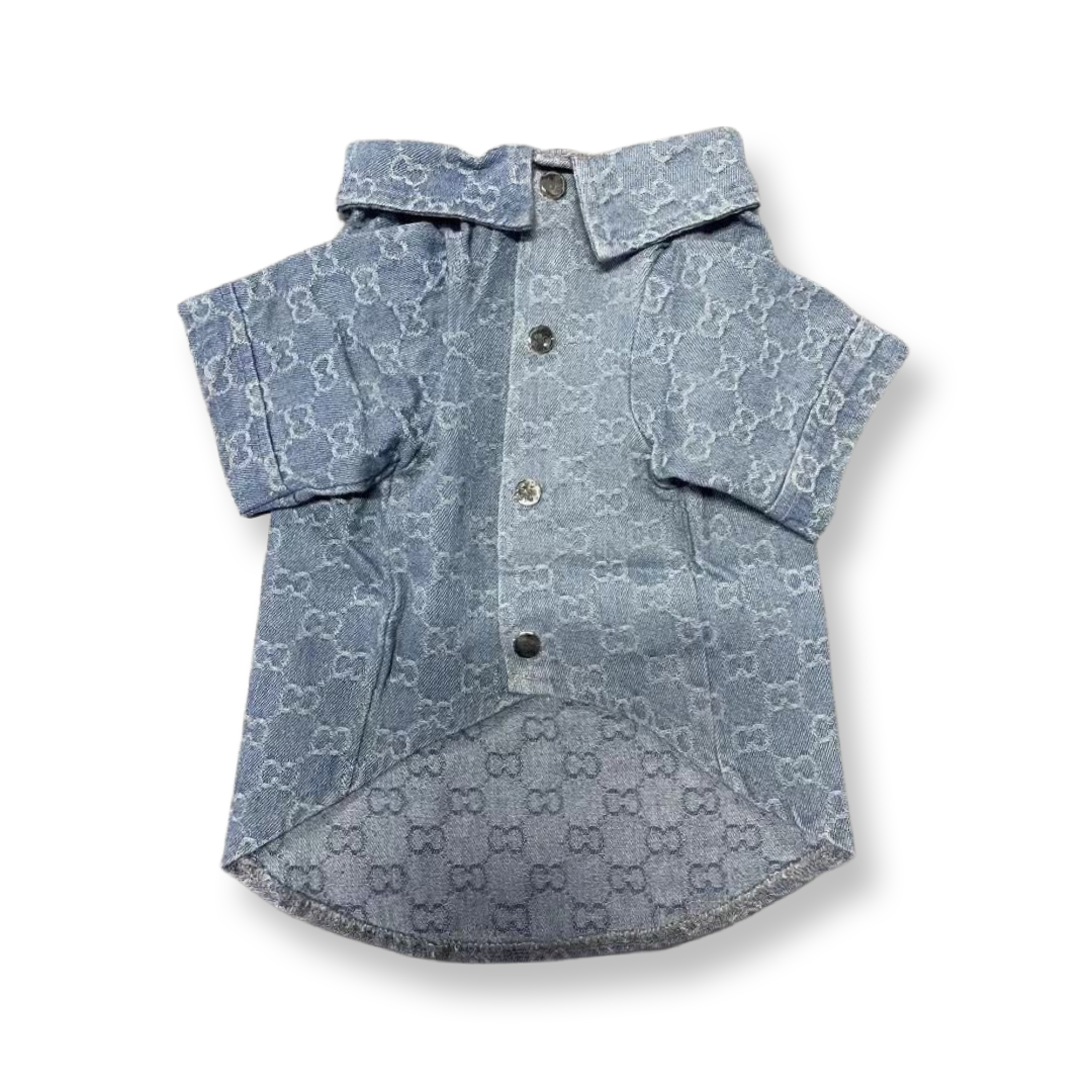 Spring Denim Shirt/Jacket