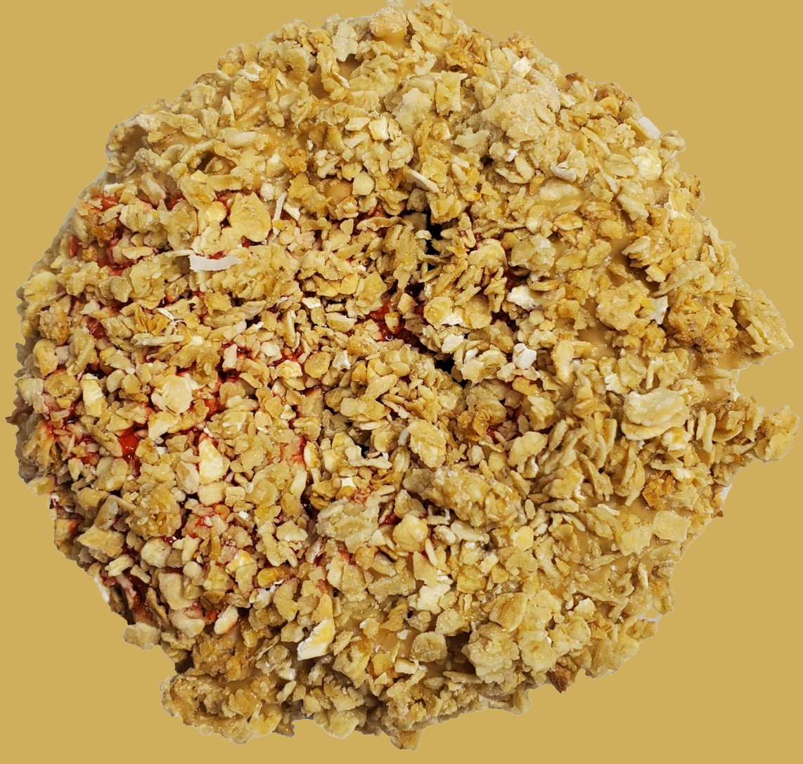 Gourmet Filled Donut, Jelly Filled Donut Dog Treat