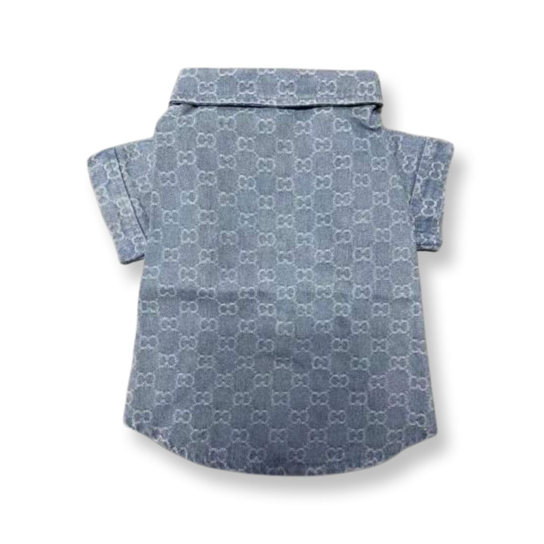 Spring Denim Shirt/Jacket