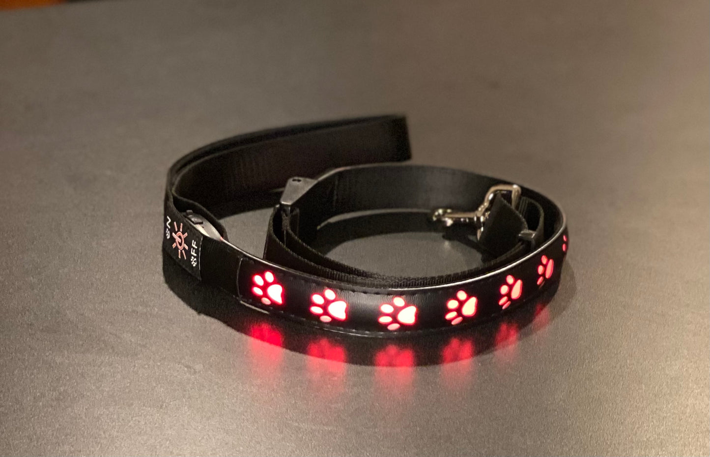 Glow-n-Dark Leash