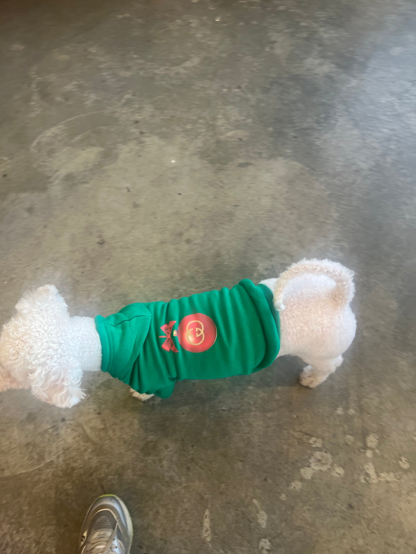GG Holiday Hoodie