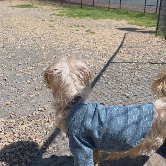 Peyton is sporting our “Spring Denim Shirt” in a size Large 